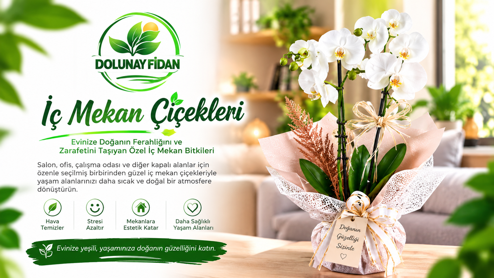 Taze Buketler